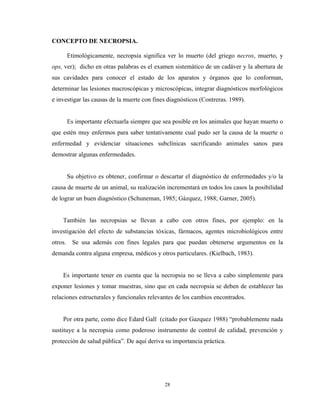CONCEPTO DE NECROPSIA.

      Etimológicamente, necropsia significa ver lo muerto (del griego necros, muerto, y
ops, ver); dicho en otras palabras es el examen sistemático de un cadáver y la abertura de
sus cavidades para conocer el estado de los aparatos y órganos que lo conforman,
determinar las lesiones macroscópicas y microscópicas, integrar diagnósticos morfológicos
e investigar las causas de la muerte con fines diagnósticos (Contreras. 1989).


      Es importante efectuarla siempre que sea posible en los animales que hayan muerto o
que estén muy enfermos para saber tentativamente cual pudo ser la causa de la muerte o
enfermedad y evidenciar situaciones subclínicas sacrificando animales sanos para
demostrar algunas enfermedades.


      Su objetivo es obtener, confirmar o descartar el diagnóstico de enfermedades y/o la
causa de muerte de un animal, su realización incrementará en todos los casos la posibilidad
de lograr un buen diagnóstico (Schuneman, 1985; Gázquez, 1988; Garner, 2005).


    También las necropsias se llevan a cabo con otros fines, por ejemplo: en la
investigación del efecto de substancias tóxicas, fármacos, agentes microbiológicos entre
otros. Se usa además con fines legales para que puedan obtenerse argumentos en la
demanda contra alguna empresa, médicos y otros particulares. (Kielbach, 1983).


    Es importante tener en cuenta que la necropsia no se lleva a cabo simplemente para
exponer lesiones y tomar muestras, sino que en cada necropsia se deben de establecer las
relaciones estructurales y funcionales relevantes de los cambios encontrados.


    Por otra parte, como dice Edard Gall (citado por Gazquez 1988) “probablemente nada
sustituye a la necropsia como poderoso instrumento de control de calidad, prevención y
protección de salud pública”. De aquí deriva su importancia práctica.




                                             28
 