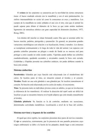El cráneo de las serpientes se caracteriza por la movilidad de ciertas estructuras
óseas: el hueso cuadrado articula con la mandíbula y con el arco palatomaxilar. La
sínfisis intermandibular no existe tal como la conocemos en aves y mamíferos. Los
cuerpos de la mandíbula no están soldados el uno con el otro, sino que el animal los
puede separar para dilatar el diámetro de la boca ya que están unidos mediante
ligamentos de naturaleza elástica con gran capacidad de distensión (Jacobson, 1977;
Rizog, 2001).

     Los dientes del maxilar se sitúan formando cuatro filas que se asientan sobre los
huesos maxilar, palatino, pterigoides y premaxilar. En general, no presentan grandes
variaciones morfológicas con relación a su localización, forma y tamaños. Los dientes
se reemplazan continuamente a lo largo de toda la vida del animal. Las especies con
grandes colmillos presentan un pliegue a modo de funda en su mucosa oral para
proteger a estos cuando no están siendo usados. Viperidae puede doblar sus colmillos
caudodorsalmente, quedando acostados y envainados cuando la boca está cerrada;
Colubridae y Elapidae presenta sus colmillos estáticos, sin poder doblarse cuando la
boca está cerrada.

Sistema endocrino
Paratiroides: Glándula par cuya función está relacionada con el metabolismo del
calcio. Se localiza junto al timo, en situación craneal al tiroides y al corazón.
Tiroides: Puede ser una sola glándula o una glándula par. Se localiza cranealmente al
corazón. Su función está relacionada con los ciclos de muda y el crecimiento.
Timo: Se presenta tanto en individuos jóvenes como en adultos, ya que no involuciona
(a diferencia de los mamíferos). Al realizar la disección del reptil suele ser difícil de
localizar ya que se encuentra inmerso en el tejido adiposo que está situado cranealmente
al tiroides.
Glándula pituitaria: Su función es la de controlar, mediante sus secreciones,
determinadas actividades metabólicas. Localización a nivel de la base del cerebro.



Sistema nervioso y órganos de los sentidos

    Al igual que otros reptiles, las serpientes presentan doce pares de nervios craneales.
El ojo se caracteriza, externamente, por la presencia de una pantalla protectora cuyo
origen embrionario se debe a la fusión de los párpados, dando lugar a esta estructura

                                           190
 