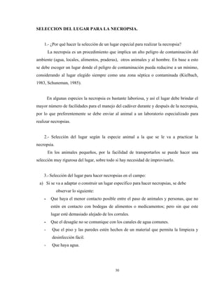 SELECCION DEL LUGAR PARA LA NECROPSIA.


    1.- ¿Por qué hacer la selección de un lugar especial para realizar la necropsia?
        La necropsia es un procedimiento que implica un alto peligro de contaminación del
ambiente (agua, locales, alimentos, praderas), otros animales y al hombre. En base a esto
se debe escoger un lugar donde el peligro de contaminación pueda reducirse a un mínimo,
considerando al lugar elegido siempre como una zona séptica o contaminada (Kielbach,
1983, Schuneman, 1985).


        En algunas especies la necropsia es bastante laboriosa, y así el lugar debe brindar el
mayor número de facilidades para el manejo del cadáver durante y después de la necropsia,
por lo que preferentemente se debe enviar al animal a un laboratorio especializado para
realizar necropsias.


    2.- Selección del lugar según la especie animal a la que se le va a practicar la
necropsia.
        En los animales pequeños, por la facilidad de transportarlos se puede hacer una
selección muy rigurosa del lugar, sobre todo si hay necesidad de improvisarlo.


    3.- Selección del lugar para hacer necropsias en el campo:
 a) Si se va a adaptar o construir un lugar específico para hacer necropsias, se debe
             observar lo siguiente:
    -     Que haya el menor contacto posible entre el paso de animales y personas, que no
          estén en contacto con bodegas de alimentos o medicamentos; pero sin que este
          lugar esté demasiado alejado de los corrales.
    -     Que el desagüe no se comunique con los canales de agua comunes.
    -     Que el piso y las paredes estén hechos de un material que permita la limpieza y
          desinfección fácil.
    -     Que haya agua.




                                               30
 
