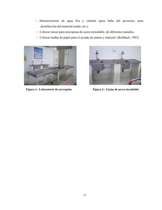 - Abastecimiento de agua fría y caliente (para baño del prosector, para
           desinfección del material usado, etc.).
        - Colocar mesas para necropsias de acero inoxidable, de diferentes tamaños.
        - Colocar toallas de papel para el secado de manos y material. (Kielbach, 1983)




Figura 1.- Laboratorio de necropsias                 Figura 2.- Tarjas de acero inoxidable




                                             32
 