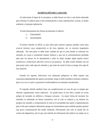 ELIMINACIÓN DEL CADAVER.

    Al seleccionar el lugar de la necropsia, se debe buscar un sitio y una forma adecuada
para eliminar el cadáver para evitar contaminación a otras explotaciones vecinas, al medio
ambiente y la propia explotación.


     Existen básicamente dos formas de desechar el cadáver:
            1.-   Enterrándolo.
            2.-   Incinerándolo.


    El primer método es difícil, ya que tanto para enterrar especies grandes como para
excavar terrenos cuya composición es de roca, tepetate, etc. se necesita maquinaria
adecuada. Por otra parte se debe tener cuidado de que la zona donde se entierren los
animales no vayan a contaminar mantos friáticos y que sea lo suficientemente profunda
para que los perros no lo desentierren y para no dejar escapar algún agente tóxico
(arsénicos) o infecciosos (Bacillus antracis) en potencia. Se debe contar también con cal
para poner entre cada capa de animales y que antes de cerrar la fosa se ponga otra capa de
éste material.


    Cuando los agentes infecciosos son altamente peligrosos se debe esperar una
cuarentena dependiendo del agente encontrado, luego se debe introducir animales celadores
para ver si no se vuelve a presentar la enfermedad en los animales introducidos.


    El segundo método también tiene sus complicaciones en caso de que se tengan que
eliminar regularmente varios cadáveres. Se puede hacer al aire libre, cuando no exista
peligro de incendio en edificios o bosques cercanos. La mejor forma de incinerar los
animales es utilizando un horno crematorio, con el cual se reducen a un mínimo los
peligros de incendio y contaminación lo cual en la actualidad está sujeto a reglamentación
para evitar que cualquier laboratorio ponga sus incineradores pues también pueden generar
una grave contaminación del medio ambiente. Obviamente esto solo se puede dar en
centros de diagnóstico, por lo que este método de eliminación del cadáver en campo no es


                                             33
 
