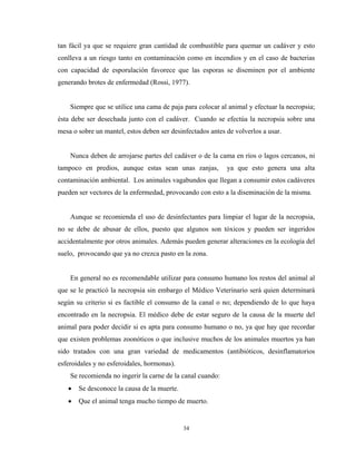 tan fácil ya que se requiere gran cantidad de combustible para quemar un cadáver y esto
conlleva a un riesgo tanto en contaminación como en incendios y en el caso de bacterias
con capacidad de esporulación favorece que las esporas se diseminen por el ambiente
generando brotes de enfermedad (Rossi, 1977).


    Siempre que se utilice una cama de paja para colocar al animal y efectuar la necropsia;
ésta debe ser desechada junto con el cadáver. Cuando se efectúa la necropsia sobre una
mesa o sobre un mantel, estos deben ser desinfectados antes de volverlos a usar.


    Nunca deben de arrojarse partes del cadáver o de la cama en ríos o lagos cercanos, ni
tampoco en predios, aunque estas sean unas zanjas,          ya que esto genera una alta
contaminación ambiental. Los animales vagabundos que llegan a consumir estos cadáveres
pueden ser vectores de la enfermedad, provocando con esto a la diseminación de la misma.


    Aunque se recomienda el uso de desinfectantes para limpiar el lugar de la necropsia,
no se debe de abusar de ellos, puesto que algunos son tóxicos y pueden ser ingeridos
accidentalmente por otros animales. Además pueden generar alteraciones en la ecología del
suelo, provocando que ya no crezca pasto en la zona.


    En general no es recomendable utilizar para consumo humano los restos del animal al
que se le practicó la necropsia sin embargo el Médico Veterinario será quien determinará
según su criterio si es factible el consumo de la canal o no; dependiendo de lo que haya
encontrado en la necropsia. El médico debe de estar seguro de la causa de la muerte del
animal para poder decidir si es apta para consumo humano o no, ya que hay que recordar
que existen problemas zoonóticos o que inclusive muchos de los animales muertos ya han
sido tratados con una gran variedad de medicamentos (antibióticos, desinflamatorios
esferoidales y no esferoidales, hormonas).
    Se recomienda no ingerir la carne de la canal cuando:
   •   Se desconoce la causa de la muerte.
   •   Que el animal tenga mucho tiempo de muerto.


                                             34
 