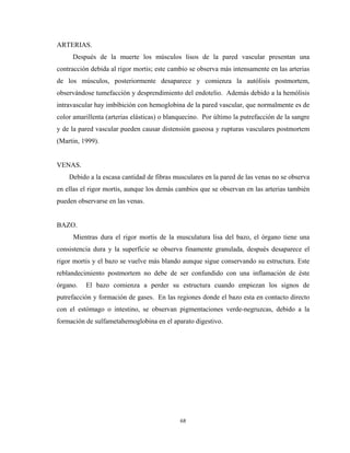 ARTERIAS.
     Después de la muerte los músculos lisos de la pared vascular presentan una
contracción debida al rigor mortis; este cambio se observa más intensamente en las arterias
de los músculos, posteriormente desaparece y comienza la autólisis postmortem,
observándose tumefacción y desprendimiento del endotelio. Además debido a la hemólisis
intravascular hay imbibición con hemoglobina de la pared vascular, que normalmente es de
color amarillenta (arterias elásticas) o blanquecino. Por último la putrefacción de la sangre
y de la pared vascular pueden causar distensión gaseosa y rupturas vasculares postmortem
(Martin, 1999).


VENAS.
    Debido a la escasa cantidad de fibras musculares en la pared de las venas no se observa
en ellas el rigor mortis, aunque los demás cambios que se observan en las arterias también
pueden observarse en las venas.


BAZO.
      Mientras dura el rigor mortis de la musculatura lisa del bazo, el órgano tiene una
consistencia dura y la superficie se observa finamente granulada, después desaparece el
rigor mortis y el bazo se vuelve más blando aunque sigue conservando su estructura. Este
reblandecimiento postmortem no debe de ser confundido con una inflamación de éste
órgano.   El bazo comienza a perder su estructura cuando empiezan los signos de
putrefacción y formación de gases. En las regiones donde el bazo esta en contacto directo
con el estómago o intestino, se observan pigmentaciones verde-negruzcas, debido a la
formación de sulfametahemoglobina en el aparato digestivo.




                                             68
 