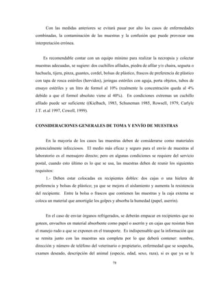 Con las medidas anteriores se evitará pasar por alto los casos de enfermedades
combinadas, la contaminación de las muestras y la confusión que puede provocar una
interpretación errónea.


    Es recomendable contar con un equipo mínimo para realizar la necropsia y colectar
muestras adecuadas, se sugiere: dos cuchillos afilados, piedra de afilar y/o chaira, segueta o
hachuela, tijera, pinza, guantes, cordel, bolsas de plástico, frascos de preferencia de plástico
con tapa de rosca estériles (hervidos), jeringas estériles con aguja, porta objetos, tubos de
ensayo estériles y un litro de formol al 10% (realmente la concentración queda al 4%
debido a que el formol absoluto viene al 40%). En condiciones extremas un cuchillo
afilado puede ser suficiente ((Kielbach, 1983, Schuneman 1985, Rowsell, 1979, Carlyle
J.T. et.al 1997, Cowell, 1999).


CONSIDERACIONES GENERALES DE TOMA Y ENVÍO DE MUESTRAS


      En la mayoría de los casos las muestras deben de considerarse como materiales
potencialmente infecciosos. El medio más eficaz y seguro para el envío de muestras al
laboratorio es el mensajero directo; pero en algunas condiciones se requiere del servicio
postal, cuando esto último es lo que se usa, las muestras deben de reunir los siguientes
requisitos:
      1.- Deben estar colocadas en recipientes dobles: dos cajas o una hielera de
preferencia y bolsas de plástico; ya que se mejora el aislamiento y aumenta la resistencia
del recipiente. Entre la bolsa o frascos que contienen las muestras y la caja externa se
coloca un material que amortigüe los golpes y absorba la humedad (papel, aserrín).


      En el caso de enviar órganos refrigerados, se deberán empacar en recipientes que no
goteen, envueltos en material absorbente como papel o aserrín y en cajas que resistan bien
el manejo rudo a que se exponen en el transporte. Es indispensable que la información que
se remita junto con las muestras sea completa por lo que deberá contener: nombre,
dirección y número de teléfono del veterinario o propietario, enfermedad que se sospecha,
examen deseado, descripción del animal (especie, edad, sexo, raza), si es que ya se le

                                              78
 