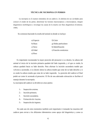 TÉCNICA DE NECROPSIA EN PERROS


          La necropsia es el examen sistemático de un cadáver y la abertura de sus cavidades para
conocer el estado de las partes, determinar las lesiones macroscópicas y microscópicas, integrar
diagnósticos morfológicos e investigar las causas de la muerte con fines diagnósticos (Contreras.
1989).


         Se comienza haciendo la reseña del animal en donde se incluye:


                          a) Especie                  f) Color
                          b) Raza                     g) Señas particulares
                          c) Sexo                     h) Identificación
                          d) Edad                     i) Función zootécnica
                          e) Peso


    Es importante recomendar la mejor posición del prosector si es diestro, la cabeza del
animal al inicio de la incisión primaria quedará del lado izquierdo, y el que es zurdo, la
cabeza quedará hacia su lado derecho. Para efectuar la incisión secundaria tendrá que
volverse a acomodar, si es diestro ahora la cabeza tendrá que estar de su lado derecho y si
es zurdo la cabeza tendra que estar de su lado izquierdo. La posición del cadáver al final
podrá ser como le acomode al prosector. El fin de una adecuada colocación es facilitar el
manejo durante la necropsia.
La necropsia del cadáver se dividirá en cinco partes:


          1.-   Inspección externa.
          2.:   Incisión primaria.
          3.    Incisión secundaria.
          4.-   Extracción de vísceras.
          5.-   Inspección de órganos.


     En cada uno de estos momentos también será importante ir tomando las muestras del
cadáver para enviar a los diferentes laboratorios como apoyo del diagnóstico y como es


                                                92
 