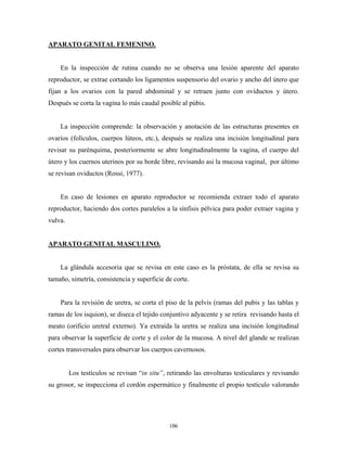 APARATO GENITAL FEMENINO.


    En la inspección de rutina cuando no se observa una lesión aparente del aparato
reproductor, se extrae cortando los ligamentos suspensorio del ovario y ancho del útero que
fijan a los ovarios con la pared abdominal y se retraen junto con oviductos y útero.
Después se corta la vagina lo más caudal posible al púbis.


    La inspección comprende: la observación y anotación de las estructuras presentes en
ovarios (folículos, cuerpos lúteos, etc.), después se realiza una incisión longitudinal para
revisar su parénquima, posteriormente se abre longitudinalmente la vagina, el cuerpo del
útero y los cuernos uterinos por su borde libre, revisando asi la mucosa vaginal, por último
se revisan oviductos (Rossi, 1977).


    En caso de lesiones en aparato reproductor se recomienda extraer todo el aparato
reproductor, haciendo dos cortes paralelos a la sínfisis pélvica para poder extraer vagina y
vulva.


APARATO GENITAL MASCULINO.


    La glándula accesoria que se revisa en este caso es la próstata, de ella se revisa su
tamaño, simetría, consistencia y superficie de corte.


    Para la revisión de uretra, se corta el piso de la pelvis (ramas del pubis y las tablas y
ramas de los isquion), se diseca el tejido conjuntivo adyacente y se retira revisando hasta el
meato (orificio uretral externo). Ya extraída la uretra se realiza una incisión longitudinal
para observar la superficie de corte y el color de la mucosa. A nivel del glande se realizan
cortes transversales para observar los cuerpos cavernosos.


         Los testículos se revisan “in situ”, retirando las envolturas testiculares y revisando
su grosor, se inspecciona el cordón espermático y finalmente el propio testículo valorando




                                              106
 