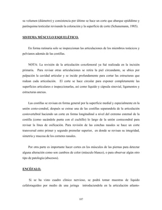 su volumen (diámetro) y consistencia por último se hace un corte que abarque epidídimo y
parénquima testicular revisando la coloración y la superficie de corte (Schunemann, 1985).


SISTEMA MÚSCULO ESQUELÉTICO.


    En forma rutinaria solo se inspeccionan las articulaciones de los miembros torácicos y
pelvianos además de las costillas.


    NOTA: La revisión de la articulación coxofemoral ya fué realizada en la incisión
primaria.   Para revisar otras articulaciones se retira la piel circundante, se ubica por
palpación la cavidad articular y se incide profundamente para cortar las estructuras que
rodean cada articulación.       El corte se hace circular para exponer completamente las
superficies articulares e inspeccionarlas, así como líquido y cápsula sinovial, ligamentos y
estructuras anexas.


    Las costillas se revisan en forma general por la superficie medial y especialmente en la
unión costo-condral, después se extrae una de las costillas separandola de la articulación
costovertebral haciendo un corte en forma longitudinal a nivel del extremo esternal de la
costilla (como sacándole punta con el cuchillo) lo largo de la unión costocondral para
revisar la línea de osificación. Para revisión de las conchas nasales se hace un corte
transversal entre primer y segundo premolar superior, en donde se revisan su integridad,
simetría y mucosa de los cornetes nasales.


    Por otra parte es importante hacer cortes en los músculos de las piernas para detectar
alguna alteración como son cambios de color (músculo blanco), o para observar algún otro
tipo de patología (abscesos).


ENCÉFALO.


     Si se ha visto cuadro clínico nervioso, se podrá tomar muestras de líquido
cefaloraquideo por medio de una jeringa        introduciendola en la articulación atlanto-



                                             107
 