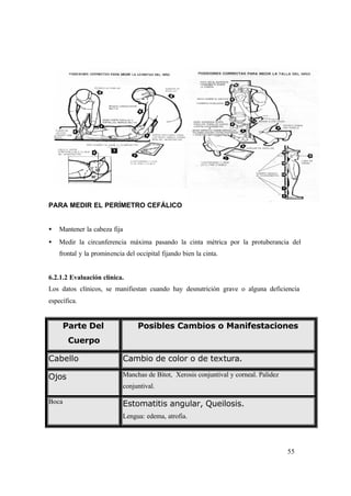 55
PARA MEDIR EL PERÍMETRO CEFÁLICO
• Mantener la cabeza fija
• Medir la circunferencia máxima pasando la cinta métrica por la protuberancia del
frontal y la prominencia del occipital fijando bien la cinta.
6.2.1.2 Evaluación clínica.
Los datos clínicos, se manifiestan cuando hay desnutrición grave o alguna deficiencia
específica.
Parte Del
Cuerpo
Posibles Cambios o Manifestaciones
Cabello Cambio de color o de textura.
Ojos Manchas de Bitot, Xerosis conjuntival y corneal. Palidez
conjuntival.
Boca Estomatitis angular, Queilosis.
Lengua: edema, atrofia.
 