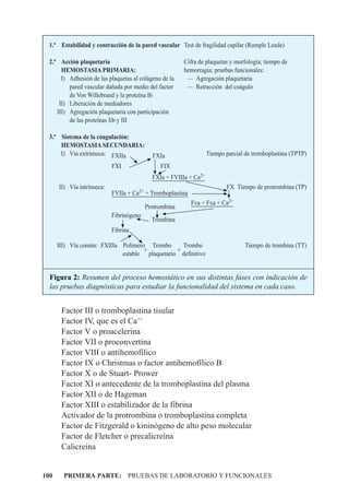 1.ª Estabilidad y contracción de la pared vascular Test de fragilidad capìlar (Rumple Leede)

  2.ª Acción plaquetaria                                Cifra de plaquetas y morfología; tiempo de
       HEMOSTASIA PRIMARIA:                             hemorragia; pruebas funcionales:
       I) Adhesión de las plaquetas al colágeno de la    — Agregación plaquetaria
          pared vascular dañada por medio del factor     — Retracción del coágulo
          de Von Willebrand y la proteína Ib
      II) Liberación de mediadores
     III) Agregación plaquetaria con participación
          de las proteínas Iib y III

  3.ª Sistema de la coagulación:
      HEMOSTASIA SECUNDARIA:
      I) Vía extrínseca: FXIIa              FXIa                   Tiempo parcial de tromboplastina (TPTP)
                            FXI                FIX
                                            FXIa + FVIIIa + Ca2+
      II) Vía intrínseca:                                                 FX Tiempo de protrombina (TP)
                            FVIIa + Ca2+ + Tromboplastina
                                                            Fva + Fxa + Ca2+
                                          Protrombina
                            Fibrinógeno
                                            Trombina
                            Fibrina

      III) Vía común: FXIIIa Polímero Trombo      Trombo                          Tiempo de trombina (TT)
                                     +          +
                             estable plaquetario definitivo


  Figura 2: Resumen del proceso hemostático en sus distintas fases con indicación de
  las pruebas diagnósticas para estudiar la funcionalidad del sistema en cada caso.


       Factor III o tromboplastina tisular
       Factor IV, que es el Ca++
       Factor V o proacelerina
       Factor VII o proconvertina
       Factor VIII o antihemofílico
       Factor IX o Christmas o factor antihemofílico B
       Factor X o de Stuart- Prower
       Factor XI o antecedente de la tromboplastina del plasma
       Factor XII o de Hageman
       Factor XIII o estabilizador de la fibrina
       Activador de la protrombina o tromboplastina completa
       Factor de Fitzgerald o kininógeno de alto peso molecular
       Factor de Fletcher o precalicreína
       Calicreína


100     PRIMERA PARTE: PRUEBAS DE LABORATORIO Y FUNCIONALES
 
