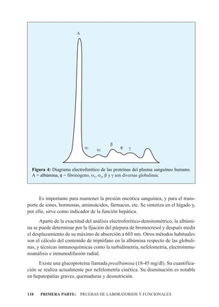 A




                                         b
                            a1    a2          f   g



  Figura 4: Diagrama electroforético de las proteínas del plasma sanguíneo humano.
  A = albúmina, f = fibrinógeno, a1, a2, b y g son diversas globulinas.




      Es importante para mantener la presión oncótica sanguínea, y para el trans-
porte de iones, hormonas, aminoácidos, fármacos, etc. Se sintetiza en el hígado y,
por ello, sirve como indicador de la función hepática.
      Aparte de la exactitud del análisis electroforético-densitométrico, la albúmi-
na se puede determinar por la fijación del púrpura de bromocresol y después medir
el desplazamiento de su máximo de absorción a 603 nm. Otros métodos habituales
son el cálculo del contenido de triptófano en la albúmina respecto de las globuli-
nas, y técnicas inmunoquímicas como la turbidimetría, nefelometría, electroinmu-
noanálisis e inmunodifusión radial.
      Existe una glucoproteína llamada prealbúmina (18-45 mg/dl). Su cuantifica-
ción se realiza actualmente por nefelometría cinética. Su disminución es notable
en hepatopatías graves, quemaduras y desnutrición.


118   PRIMERA PARTE: PRUEBAS DE LABORATORIOS Y FUNCIONALES
 