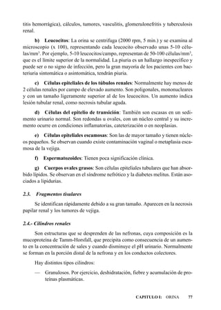 titis hemorrágica), cálculos, tumores, vasculitis, glomerulonefritis y tuberculosis
renal.
      b) Leucocitos: La orina se centrifuga (2000 rpm, 5 min.) y se examina al
microscopio (x 100), representando cada leucocito observado unas 5-10 célu-
las/mm3. Por ejemplo, 5-10 leucocitos/campo, representan de 50-100 células/mm3,
que es el límite superior de la normalidad. La piuria es un hallazgo inespecífico y
puede ser o no signo de infección, pero la gran mayoría de los pacientes con bac-
teriuria sintomática o asintomática, tendrán piuria.
      c) Células epiteliales de los túbulos renales: Normalmente hay menos de
2 células renales por campo de elevado aumento. Son poligonales, mononucleares
y con un tamaño ligeramente superior al de los leucocitos. Un aumento indica
lesión tubular renal, como necrosis tubular aguda.
     d) Células del epitelio de transición: También son escasas en un sedi-
mento urinario normal. Son redondas u ovales, con un núcleo central y su incre-
mento ocurre en condiciones inflamatorias, cateterización o en neoplasias.
     e) Células epiteliales escamosas: Son las de mayor tamaño y tienen núcle-
os pequeños. Se observan cuando existe contaminación vaginal o metaplasia esca-
mosa de la vejiga.
       f)   Espermatozoides: Tienen poca significación clínica.
      g) Cuerpos ovales grasos: Son células epiteliales tubulares que han absor-
bido lípidos. Se observan en el síndrome nefrótico y la diabetes melitus. Están aso-
ciados a lipidurias.

2.3.   Fragmentos tisulares
      Se identifican rápidamente debido a su gran tamaño. Aparecen en la necrosis
papilar renal y los tumores de vejiga.

2.4.- Cilindros renales
      Son estructuras que se desprenden de las nefronas, cuya composición es la
mucoproteína de Tamm-Horsfall, que precipita como consecuencia de un aumen-
to en la concentración de sales y cuando disminuye el pH urinario. Normalmente
se forman en la porción distal de la nefrona y en los conductos colectores.
       Hay distintos tipos cilindros:
       — Granulosos. Por ejercicio, deshidratación, fiebre y acumulación de pro-
         teínas plasmáticas.


                                                       CAPITULO I: ORINA         77
 