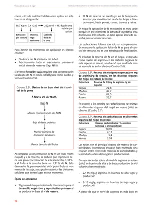 Producción de nueces de nogal	 Manuales FIA de APOYO A LA FORMACIÓN DE RECURSOS HUMANOS PARA LA INNOVACIÓN AGRARIA
16
enero, etc.) de cuánto N debiéramos aplicar en este
huerto es el siguiente:
88,7 Kg N/ 0,4 =222 222/0,46 = 483 kg de urea 	
					 habría que
aplicar.
Extracción	 Eficiencia	 Cotenido
por cosecha	 riego	 de N de
	 tradicional	 la urea
Para definir los momentos de aplicación es preciso
conocer:
•	 Dinámica del N al interior del árbol.
•	 Prácticamente todo el crecimiento primaveral
inicial viene de reservas (Exp. N15).
El evento floración-cuaja requiere alta concentración
localizada de N en sitios estratégicos como dardos y
yemas (Cuadro 2.5).
Cuadro 2.52
. Efectos de un bajo nivel de N a ni-
vel de la yema
A NIVEL DE LA YEMA
Bajo N
Menor concentración de ARN
Baja síntesis proteica
Menor número de
divisiones celulares
Menor tamaño del fruto
Al comparar la concentración de N en un fruto recién
cuajado y a la cosecha, se obtuvo que el primero tie-
ne una gran concentración de este elemento; 3,38%,
y el fruto a la cosecha tiene un 1,71% de N. Esto
demuestra la gran necesidad de N por el fruto al mo-
mento de la cuaja, para poder sustentar las divisiones
celulares que tienen lugar en ese momento.
Época de aplicación
•	 El grueso del requerimiento de N necesario para el
desarrollo vegetativo y reproductivo primaveral
se produce en base al N de reserva.
•	 El N de reserva se construye en la temporada
anterior por movilización desde las hojas a fines
de verano, hacia yemas, ramas, troncos y raíces.
En nogal la aplicación de N en cosecha es muy tarde
porque en ese momento la actividad vegetativa está
disminuida. Por lo tanto, se debe aplicar antes de co-
secha para acumular reservas.
Las aplicaciones foliares son solo un complemento.
En manzano la aplicación foliar de N es para el con-
trol de venturia, no es una estrategia de fertilización.
Al estudiar la reserva de N en el nogal, expresada
como niveles de arginina en los distintos órganos de
esta especie en receso, se observó que en donde más
se acumula es en los dardos (Cuadro 2.6).
Cuadro 2.62
. Reserva de nitrógeno expresada en mg
de arginina/g de órgano, en los distintos órganos
del nogal en estado de receso
Estructura	 Reserva de N (mg de arginina /g de 		
	 órgano)
Yemas	 22,8
Madera	 49,7
Dardo	 69,5
Raíces	 25,7
En cuanto a los niveles de carbohidratos de reserva
en diferentes órganos del nogal en receso (julio) se
observa (Cuadro 2.7):
Cuadro 2.72
. Reserva de carbohidratos en diferentes
órganos del nogal en receso
Estructura	 Reserva carbohidratos (% almidón 		
	 (amilasa + amilopectina))
Raíces	 10,96
Dardo	 4,11
Madera	 5,4
Yemas	 3,53
Las raíces son el principal órgano de reserva de car-
bohidratos. Numerosos estudios han mostrado una
relación entre el nivel de reservas de carbohidratos y
la conducta añera del nogal en productividad.
Ensayos recientes sobre el nivel de arginina en raíces
(julio) en huertos de alta y de baja producción de vid
sultanina han mostrado:
– 	 22-45 mg/g arginina en huertos de alto vigor y
producción
– 	 3-16 mg/g arginina en huertos de bajo vigor y
producción
A pesar de que el nivel de arginina es más bajo en
 