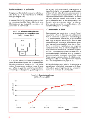 Producción de nueces de nogal	 Manuales FIA de APOYO A LA FORMACIÓN DE RECURSOS HUMANOS PARA LA INNOVACIÓN AGRARIA
22
Distribución de raíces en profundidad
El nogal profundiza bastante su sistema radicular, se
habla de 1,5 a 2 m dependiendo de las limitantes
físicas que tenga el suelo.
En cualquier frutal el 70% de sus raíces está en el pri-
mer metro de profundidad (Figura 3.2). Por lo tanto
debemos conocer qué pasa con la humedad en este
primer metro de profundidad.
En los nogales, al tener un sistema radicular muy pro-
fundo, se debe tener cuidado con los impedimentos
físicos del suelo (toscas, compactación) y con el nivel
freático. El nogal es más sensible al exceso de agua
que a la falta de agua. Si el suelo tiene un estrato im-
permeable que no deja pasar el agua o hay presencia
de un nivel freático permanente muy cercano a la
superficie (0,8 a 1,2 m), vamos a tener problemas en
el desarrollo del árbol. Entonces, estos aspectos se
deben considerar previo a la plantación, por lo que es
importante hacer calicatas para conocer la secuencia
del perfil del suelo, para ver el estado de las raíces;
por el color de las raíces se sabe si están sanas o no,
las raíces sanas tienen un color blanco y las raíces su-
jetas a anoxia o enfermas van cambiando a un color
rojizo hasta llegar a un color negro.
3.1.2 Crecimiento de brotes
Es otro aspecto que se debe tener en cuenta. Aproxi-
madamente a fines de diciembre está prácticamente
todo el crecimiento vegetativo ya realizado (Figura
3.3). Posteriormente, hasta marzo, lo que aumenta
es el follaje de la planta. Entonces para tener un buen
desarrollo de este crecimiento vegetativo en prima-
vera hay que tener un equilibrio agua-aire en el sue-
lo. En el crecimiento vegetativo de una temporada
vamos a tener las flores la próxima temporada, por
lo que mientras menor sea el crecimiento vegetati-
vo van a existir menos puntos donde tener fruta la
próxima temporada. También al tener un menor cre-
cimiento vegetativo van a existir menos hojas, menos
fotosíntesis y menos acumulación de hidratos de car-
bono y va a haber una mayor penetración directa de
luz y por ende problemas de golpe de sol.
El crecimiento vegetativo a inicios de verano ya se
cumplió y por lo tanto todo lo que pase con la dispo-
nibilidad de agua en la primavera va a ser determi-
nante en los resultados de la temporada.
40%
30%
20%
10%
D
Figura 3.24
. Presentación esquemática
de la distribución de raíces de un frutal
(Sellés y Ferreyra, 2001)
Figura 3.34
. Crecimiento de brotes
(Sellés y Ferreyra, 2001)
100
80
60
40
20
0
12-09-98 01-11-98 21-12-98 09-02-99 31-03-99
Fechas
Largodebrote(cm)
 