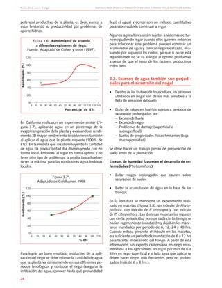 Producción de nueces de nogal	 Manuales FIA de APOYO A LA FORMACIÓN DE RECURSOS HUMANOS PARA LA INNOVACIÓN AGRARIA
24
llegó el agua) y contar con un método cuantitativo
para saber cuándo comenzar a regar.
Algunos agricultores están sujetos a sistemas de tur-
no no pudiendo regar cuando ellos quieren, entonces
para solucionar este problema pueden construir un
acumulador de agua y colocar riego localizado, eva-
luando por supuesto los costos, ya que si no se está
regando bien no se va a llegar al óptimo productivo
a pesar de que el resto de los factores productivos
estén bien.
3.2. Excesos de agua también son perjudi-
ciales para el desarrollo del nogal
•	 Dentro de los frutales de hoja caduca, los patrones
utilizados en nogal son de los más sensibles a la
falta de aireación del suelo.
•	 Daño de raíces en huertos sujetos a períodos de
saturación prolongados por:
	 – Exceso de lluvia
	 – Exceso de riego
	 – Problemas de drenaje (superficial o
	 subsuperficial)
	 – Suelos de propiedades físicas limitantes (baja
	 macroporosidad)
Se debe hacer un trabajo previo de preparación de
suelo antes de la plantación.
Excesos de humedad favorecen el desarrollo de en-
fermedades (Phytophthora)
•	 Evitar riegos prolongados que causen sobre
saturación de suelos
•	 Evitar la acumulación de agua en la base de los
troncos
En la literatura se menciona un experimento reali-
zado en macetas (Figura 3.8); sin inóculo de Phyto-
phthora, con inóculo de P. criptogea y con inóculo
de P. citrophthora. Las distintas macetas las regaron
con cierta periodicidad pero de cada cierto tiempo se
hacían regímenes de inundación y dejaban los mace-
teros inundados por período de 6, 12, 24 y 48 hrs.
Cuando estaba presente el inóculo en las macetas,
era suficiente un período de inundación de 6 a 12 hrs
para facilitar el desarrollo del hongo. A partir de esta
información, un experto californiano en riego reco-
mendaba a los agricultores no regar por más de 6 a
8 hrs en riego superficial y si falta agua que aplicar se
deben hacer riegos más frecuentes pero no prolon-
gados (más de 6 a 8 hrs.).
potencial productivo de la planta, es decir, vamos a
estar limitando su productividad por problemas de
aporte hídrico.
En California realizaron un experimento similar (Fi-
gura 3.7), aplicando agua en un porcentaje de la
evapotranspiración de la planta y evaluando el rendi-
miento. El mayor rendimiento lo obtuvieron también
al aplicar el agua que la planta requería (100% de
ETc). En la medida que iba disminuyendo la cantidad
de agua, la productividad iba disminuyendo casi en
forma lineal. Entonces, al regar en forma óptima y no
tener otro tipo de problemas, la productividad debie-
ra ser la máxima para las condiciones agroclimáticas
locales.
Para lograr un buen resultado productivo de la apli-
cación del riego se debe estimar la cantidad de agua
que la planta va consumiendo en sus diferentes pe-
ríodos fenológicos y controlar el riego (asegurar la
infiltración del agua, conocer hasta qué profundidad
Figura 3.64
. Rendimiento de acuerdo
a diferentes regímenes de riego.
Fuente: Adaptado de Cohen y otros (1997).
120
100
80
60
40
20
0
0 10 20 30 40 50 60 70 80 90 100 110 120 130 140
Rendimiento(%)
Porcentaje de ETc
Figura 3.74
.
Adaptado de Goldhamer, 1998
120
100
80
60
40
20
0
0 10 20 30 40 50 60 70 80 90 100 110
Rendimiento(%)
% ETc
 