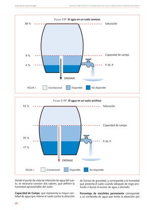 Producción de nueces de nogal	 Manuales FIA de APOYO A LA FORMACIÓN DE RECURSOS HUMANOS PARA LA INNOVACIÓN AGRARIA
26
Desde el punto de vista de retención de agua del sue-
lo, es necesario conocer dos valores, que definen la
humedad aprovechable del suelo:
Capacidad de Campo, que representa la mayor can-
tidad de agua que retiene el suelo contra la atracción
aGua = Gravitacional Disponible no disponible
38 %
9 %
4 %
Saturación
Capacidad de campo
P. M. P.
DREnaJE
Figura 3.94
. El agua en un suelo arenoso
Figura 3.104
. El agua en un suelo arcilloso
aGua = Gravitacional Disponible no disponible
53 %
35 %
17 %
Saturación
Capacidad de campo
P. M. P.
DREnaJE
de fuerzas de gravedad, y corresponde a la humedad
que presenta el suelo cuando (después de riego pro-
fundo o lluvia) el exceso de agua a drenado.
Porcentaje de marchitez permanente corresponde
a un contenido de agua que limita la absorción por
 