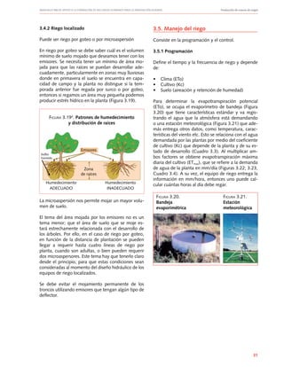 Manuales FIA de APOYO A LA FORMACIÓN DE RECURSOS HUMANOS PARA LA INNOVACIÓN AGRARIA		 Producción de nueces de nogal
31
3.4.2 Riego localizado
Puede ser riego por goteo o por microaspersión
En riego por goteo se debe saber cuál es el volumen
mínimo de suelo mojado que deseamos tener con los
emisores. Se necesita tener un mínimo de área mo-
jada para que las raíces se puedan desarrollar ade-
cuadamente, particularmente en zonas muy lluviosas
donde en primavera el suelo se encuentra en capa-
cidad de campo y la planta no distingue si la tem-
porada anterior fue regada por surco o por goteo,
entonces si regamos un área muy pequeña podemos
producir estrés hídrico en la planta (Figura 3.19).
La microaspersión nos permite mojar un mayor volu-
men de suelo.
El tema del área mojada por los emisores no es un
tema menor; que el área de suelo que se moje es-
tará estrechamente relacionada con el desarrollo de
los árboles. Por ello, en el caso de riego por goteo,
en función de la distancia de plantación se pueden
llegar a requerir hasta cuatro líneas de riego por
planta, cuando son adultas, o bien pueden requerir
dos microaspersores. Este tema hay que tenerlo claro
desde el principio, para que estas condiciones sean
consideradas al momento del diseño hidráulico de los
equipos de riego localizados.
Se debe evitar el mojamiento permanente de los
troncos utilizando emisores que tengan algún tipo de
deflector.
Figura 3.194
. Patrones de humedecimiento
y distribución de raíces
Emisores
Humedecimiento
ADECUADO
Humedecimiento
INADECUADO
Zona
de raíces
bulbo
húmedo
3.5. Manejo del riego
Consiste en la programación y el control.
3.5.1 Programación
Define el tiempo y la frecuencia de riego y depende
de:
•	 Clima (ETo)
•	 Cultivo (Kc)
•	 Suelo (aireación y retención de humedad)
Para determinar la evapotranspiración potencial
(ETo), se ocupa el evaporímetro de bandeja (Figura
3.20) que tiene características estándar y va regis-
trando el agua que la atmósfera está demandando
o una estación meteorológica (Figura 3.21) que ade-
más entrega otros datos, como temperatura, carac-
terísticas del viento etc. Esto se relaciona con el agua
demandada por las plantas por medio del coeficiente
de cultivo (Kc) que depende de la planta y de su es-
tado de desarrollo (Cuadro 3.3). Al multiplicar am-
bos factores se obtiene evapotranspiración máxima
diaria del cultivo (ETmax), que se refiere a la demanda
de agua de la planta en mm/día (Figuras 3.22; 3.23,
Cuadro 3.4). A su vez, el equipo de riego entrega la
información en mm/hora, entonces uno puede cal-
cular cuántas horas al día debe regar.
Figura 3.20.
Bandeja
evaporimétrica
Figura 3.21.
Estación
meteorológica
 