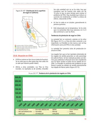 Manuales FIA de APOYO A LA FORMACIÓN DE RECURSOS HUMANOS PARA LA INNOVACIÓN AGRARIA		 Producción de nueces de nogal
93
23.8. Situación en Chile
•	 El PFA es notorio en Serr (no en todos los huertos).
Se ha visto que en años pares hay más caída (no
se sabe qué relación puede haber).
•	 Afecta a otras variedades: Los Tilos (o Vina
Grande), no injertados (o de semilla), Chandler
Figura 23.1026
. Distribución de la superficie
de nogal en California
(en esta variedad aún no se ha visto; hay que
considerar que los huertos más viejos son de
10 años lo que es poco tiempo para evaluar el
problema de PFA). Hay resultado que indican un
aumento de rendimiento al inhibir la síntesis de
etileno, reduciendo el PFA.
•	 En Serr la caída es en octubre, generalmente la
primera quincena.
•	 Está relacionada con la temperatura. Se ha visto
que si se presentan días muy calurosos, en 3 o 4
días comienzan a caer las flores.
Tendencias de plantación de nogal en Chile
La variedad Serr se comenzó a plantar en los años
90 (Figura 23.11) y a fines de estos comenzó a ser
importante. La Chandler es más nueva y aún no hay
información acerca de PFA en esta variedad.
La variedad Serr presenta ciclos de producción bi-
anual en Chile.
Los nogales Serr que se han injertado entremedio de
los nogales de semilla presentan un alto porcentaje
de caída de flores. Se han realizado pruebas con dor-
mex para adelantar la floración de la Serr impidiendo
que las flores reciban el polen de los árboles de se-
milla. La Chandler no presenta este problema ya que
florece cuando los árboles de semilla prácticamente
han dejado de liberar polen (Figura 23.12).
Figura 23.1126
. Tendencia de la plantación de nogales en Chile
 