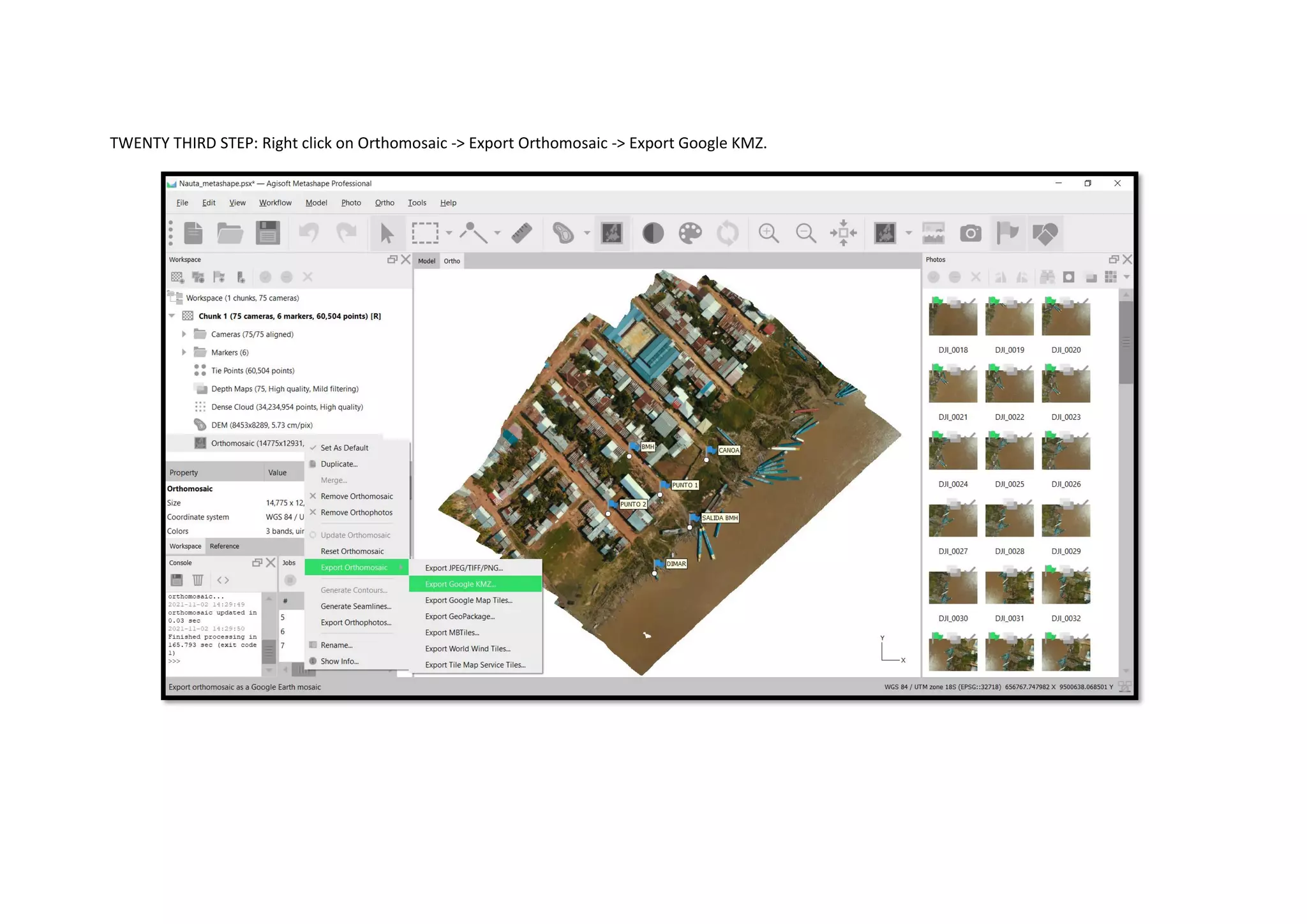 Manual of Agisoft Metashape Professional | PDF