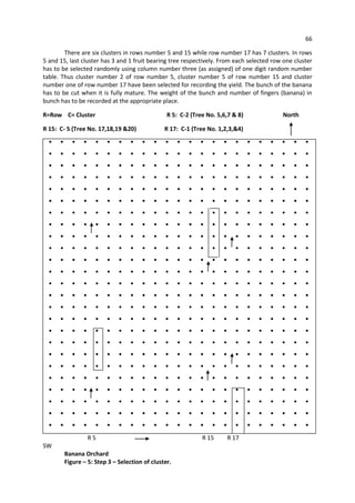 Manual of Crop Cutting Experiment.PDF