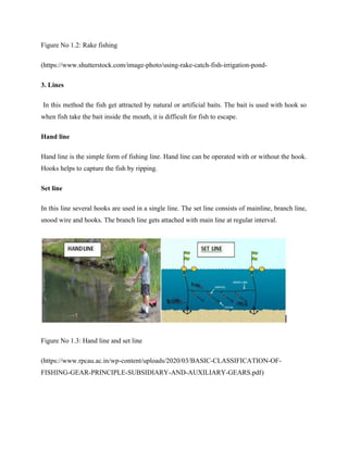 Manual of Fish Biology P.docxhhhghhhnjjo | DOCX