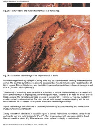 Manual on meat inspection for developing countries | PDF