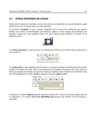 Manual de Writter | PDF