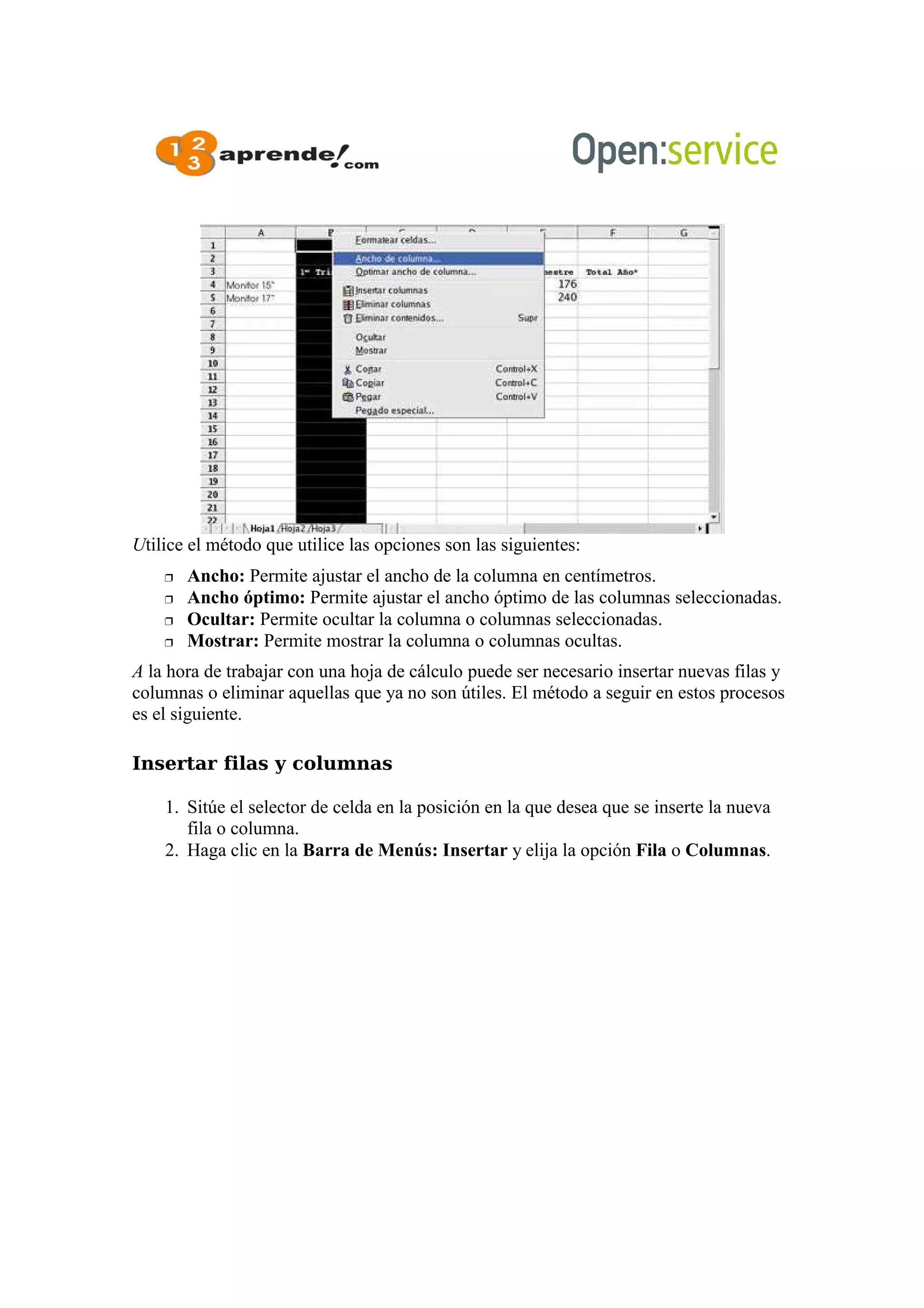 Utilice el método que utilice las opciones son las siguientes:
 Ancho: Permite ajustar el ancho de la columna en centímetros.
 Ancho óptimo: Permite ajustar el ancho óptimo de las columnas seleccionadas.
 Ocultar: Permite ocultar la columna o columnas seleccionadas.
 Mostrar: Permite mostrar la columna o columnas ocultas.
A la hora de trabajar con una hoja de cálculo puede ser necesario insertar nuevas filas y
columnas o eliminar aquellas que ya no son útiles. El método a seguir en estos procesos
es el siguiente.
Insertar filas y columnas
1. Sitúe el selector de celda en la posición en la que desea que se inserte la nueva
fila o columna.
2. Haga clic en la Barra de Menús: Insertar y elija la opción Fila o Columnas.
 