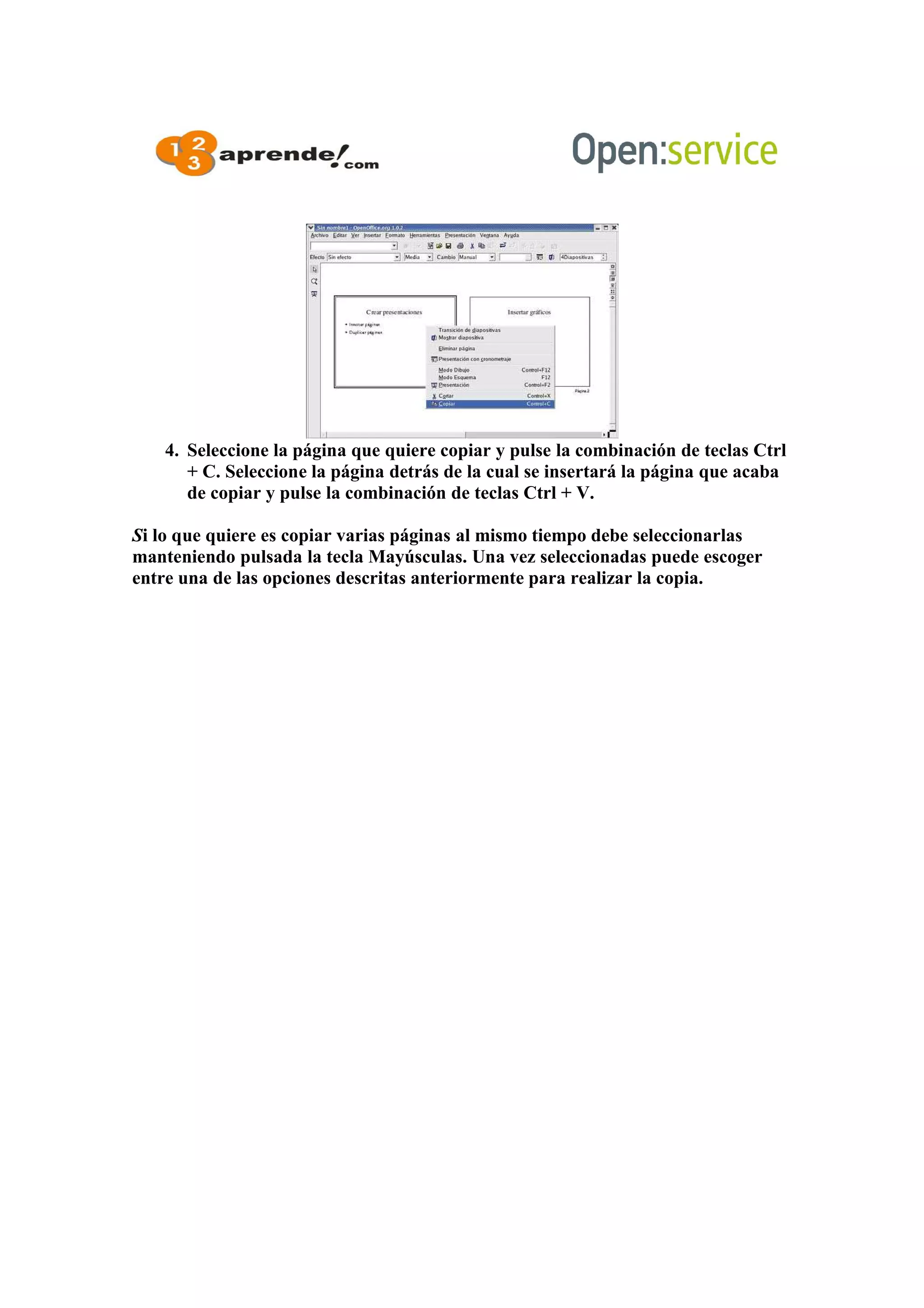 4. Seleccione la página que quiere copiar y pulse la combinación de teclas Ctrl
+ C. Seleccione la página detrás de la cual se insertará la página que acaba
de copiar y pulse la combinación de teclas Ctrl + V.
Si lo que quiere es copiar varias páginas al mismo tiempo debe seleccionarlas
manteniendo pulsada la tecla Mayúsculas. Una vez seleccionadas puede escoger
entre una de las opciones descritas anteriormente para realizar la copia.
 