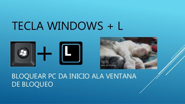 windows l