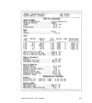 Manual de Producción – PAE – Argentina 24-II
 