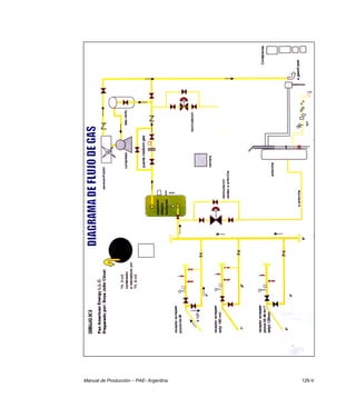 Manual de Producción – PAE- Argentina 126-V
 
