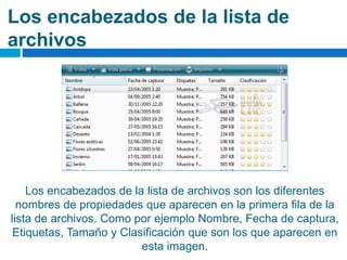 Los encabezados de la lista de
archivos
Los encabezados de la lista de archivos son los diferentes
nombres de propiedades que aparecen en la primera fila de la
lista de archivos. Como por ejemplo Nombre, Fecha de captura,
Etiquetas, Tamaño y Clasificación que son los que aparecen en
esta imagen.
 