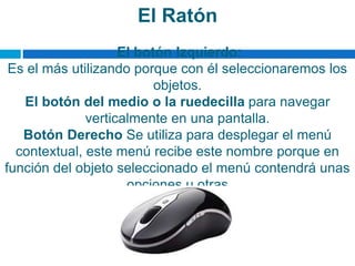 El Ratón
El botón Izquierdo:
Es el más utilizando porque con él seleccionaremos los
objetos.
El botón del medio o la ruedecilla para navegar
verticalmente en una pantalla.
Botón Derecho Se utiliza para desplegar el menú
contextual, este menú recibe este nombre porque en
función del objeto seleccionado el menú contendrá unas
opciones u otras
 