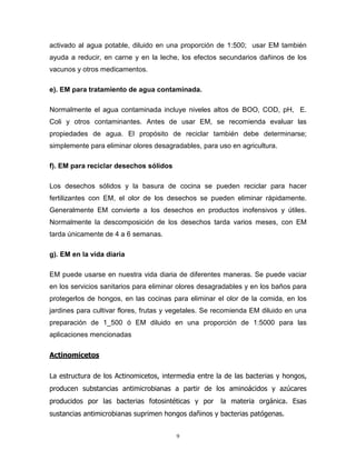 activado al agua potable, diluido en una proporción de 1:500; usar EM también
ayuda a reducir, en carne y en la leche, los efectos secundarios dañinos de los
vacunos y otros medicamentos.
e). EM para tratamiento de agua contaminada.
Normalmente el agua contaminada incluye niveles altos de BOO, COD, pH, E.
Coli y otros contaminantes. Antes de usar EM, se recomienda evaluar las
propiedades de agua. El propósito de reciclar también debe determinarse;
simplemente para eliminar olores desagradables, para uso en agricultura.
f). EM para reciclar desechos sólidos
Los desechos sólidos y la basura de cocina se pueden reciclar para hacer
fertilizantes con EM, el olor de los desechos se pueden eliminar rápidamente.
Generalmente EM convierte a los desechos en productos inofensivos y útiles.
Normalmente la descomposición de los desechos tarda varios meses, con EM
tarda únicamente de 4 a 6 semanas.
g). EM en la vida diaria
EM puede usarse en nuestra vida diaria de diferentes maneras. Se puede vaciar
en los servicios sanitarios para eliminar olores desagradables y en los baños para
protegerlos de hongos, en las cocinas para eliminar el olor de la comida, en los
jardines para cultivar flores, frutas y vegetales. Se recomienda EM diluido en una
preparación de 1_500 ó EM diluido en una proporción de 1:5000 para las
aplicaciones mencionadas
Actinomicetos
La estructura de los Actinomicetos, intermedia entre la de las bacterias y hongos,
producen substancias antimicrobianas a partir de los aminoácidos y azúcares
producidos por las bacterias fotosintéticas y por

la materia orgánica. Esas

sustancias antimicrobianas suprimen hongos dañinos y bacterias patógenas.
9

 