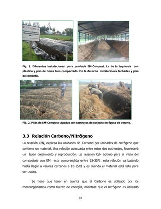 Fig. 1. Diferentes instalaciones

para producir EM-Compost. La de la izquierda

con

plástico y piso de tierra bien compactado. En la derecha instalaciones techadas y piso
de cemento.

Fig. 2. Pilas de EM-Compost tapadas con rastrojos de cosecha en época de verano.

3.3 Relación Carbono/Nitrógeno
La relación C/N, expresa las unidades de Carbono por unidades de Nitrógeno que
contiene un material. Una relación adecuada entre estos dos nutrientes, favorecerá
un

buen crecimiento y reproducción. La relación C/N óptimo para el inicio del

compostaje con EM

esta comprendida entre 25-35/1, esta relación va bajando

hasta llegar a valores cercanos a 10-15/1 y es cuando el material está listo para
ser usado.
Se tiene que tener en cuenta que el Carbono es utilizado por los
microorganismos como fuente de energía, mientras que el nitrógeno es utilizado

12

 