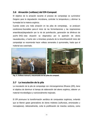 3.6 Aireación (volteos) del EM-Compost
El objetivo de la aireación durante el proceso de compostaje es suministrar
Oxigeno para la degradación microbiana, controlar la temperatura y eliminar la
humedad de la materia orgánica.
Cuando existe una mala aireación en las pilas de compostaje,

se producen

condiciones favorables para el inicio de las fermentaciones y las respiraciones
anaeróbicas(degradación por la vía de putrefacción, generación de dihidruro de
azufre SH2) esta

situación

se

diagnostica

por

la

aparición

de

olores

nauseabundos, o fuerte olor a Amoníaco producto de la AmonificaciónAl inicio del
compostaje se recomienda hacer volteos semanales ó quincenales, hasta que el
material sea cosechado.

Fig. 5. Volteos manual y mecanizado de las pilas de compost.

3.7 La inoculación de la pila
La inoculación de la pila de compostaje con microorganismos Eficaces (EM), tiene
el objetivo de disminuir el tiempo de elaboración del abono orgánico, obtener un
material microbiológico y nutricionalmente mejorado.

El EM promueve la transformación aeróbica de compuestos orgánicos, evitando
que se liberen gases generadores de olores molestos (sulfurosos, amoniacales y
mercaptanos). Adicionalmente, evita la proliferación de insectos vectores, como

15

 
