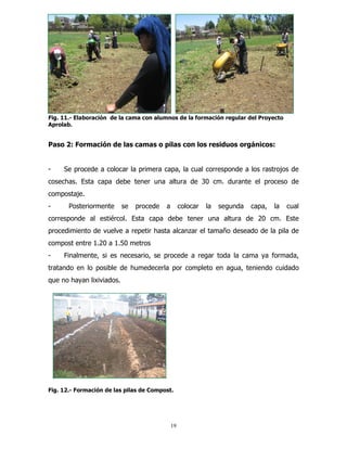 Fig. 11.- Elaboración de la cama con alumnos de la formación regular del Proyecto
Aprolab.

Paso 2: Formación de las camas o pilas con los residuos orgánicos:

-

Se procede a colocar la primera capa, la cual corresponde a los rastrojos de

cosechas. Esta capa debe tener una altura de 30 cm. durante el proceso de
compostaje.
-

Posteriormente

se

procede

a

colocar

la

segunda

capa,

la

cual

corresponde al estiércol. Esta capa debe tener una altura de 20 cm. Este
procedimiento de vuelve a repetir hasta alcanzar el tamaño deseado de la pila de
compost entre 1.20 a 1.50 metros
-

Finalmente, si es necesario, se procede a regar toda la cama ya formada,

tratando en lo posible de humedecerla por completo en agua, teniendo cuidado
que no hayan lixiviados.

Fig. 12.- Formación de las pilas de Compost.

19

 