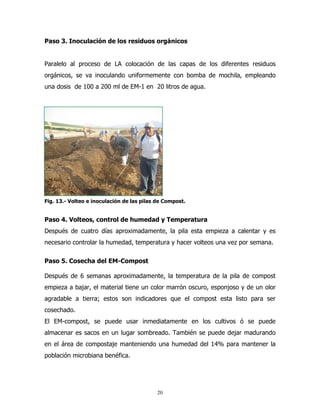 Paso 3. Inoculación de los residuos orgánicos

Paralelo al proceso de LA colocación de las capas de los diferentes residuos
orgánicos, se va inoculando uniformemente con bomba de mochila, empleando
una dosis de 100 a 200 ml de EM-1 en 20 litros de agua.

Fig. 13.- Volteo e inoculación de las pilas de Compost.

Paso 4. Volteos, control de humedad y Temperatura
Después de cuatro días aproximadamente, la pila esta empieza a calentar y es
necesario controlar la humedad, temperatura y hacer volteos una vez por semana.
Paso 5. Cosecha del EM-Compost
Después de 6 semanas aproximadamente, la temperatura de la pila de compost
empieza a bajar, el material tiene un color marrón oscuro, esponjoso y de un olor
agradable a tierra; estos son indicadores que el compost esta listo para ser
cosechado.
El EM-compost, se puede usar inmediatamente en los cultivos ó se puede
almacenar es sacos en un lugar sombreado. También se puede dejar madurando
en el área de compostaje manteniendo una humedad del 14% para mantener la
población microbiana benéfica.

20

 
