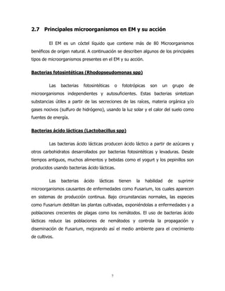 2.7 Principales microorganismos en EM y su acción
El EM es un cóctel líquido que contiene más de 80 Microorganismos
benéficos de origen natural. A continuación se describen algunos de los principales
tipos de microorganismos presentes en el EM y su acción.
Bacterias fotosintéticas (Rhodopseudomonas spp)
Las

bacterias

fotosintéticas

o

fototrópicas

son

un

grupo

de

microorganismos independientes y autosuficientes. Estas bacterias sintetizan
substancias útiles a partir de las secreciones de las raíces, materia orgánica y/o
gases nocivos (sulfuro de hidrógeno), usando la luz solar y el calor del suelo como
fuentes de energía.
Bacterias ácido lácticas (Lactobacillus spp)
Las bacterias ácido lácticas producen ácido láctico a partir de azúcares y
otros carbohidratos desarrollados por bacterias fotosintéticas y levaduras. Desde
tiempos antiguos, muchos alimentos y bebidas como el yogurt y los pepinillos son
producidos usando bacterias ácido lácticas.
Las

bacterias

ácido

lácticas

tienen

la

habilidad

de

suprimir

microorganismos causantes de enfermedades como Fusarium, los cuales aparecen
en sistemas de producción continua. Bajo circunstancias normales, las especies
como Fusarium debilitan las plantas cultivadas, exponiéndolas a enfermedades y a
poblaciones crecientes de plagas como los nemátodos. El uso de bacterias ácido
lácticas reduce las poblaciones de nemátodos y controla la propagación y
diseminación de Fusarium, mejorando así el medio ambiente para el crecimiento
de cultivos.

7

 