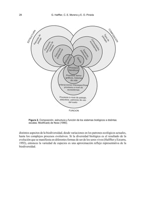 28 G. Halffter, C. E. Moreno y E. O. Pineda
Figura 2. Composición, estructura y función de los sistemas biológicos a distintas
escalas. Modificado de Noss (1990).
distintos aspectos de la biodiversidad, desde variaciones en los patrones ecológicos actuales,
hasta los complejos procesos evolutivos. Si la diversidad biológica es el resultado de la
evolución que se manifiesta en diferentes formas de ser de los seres vivos (Halffter y Ezcurra,
1992), entonces la variedad de especies es una aproximación reflejo representativa de la
biodiversidad.
 