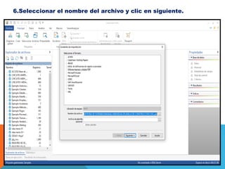 Caseware Pdf Manual para importar el formato pdf a caseware idea | PDF