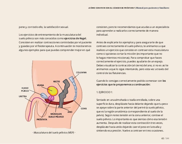 Manual Para Pacientes Y Familiares Como Convivir Con El Cancer De P