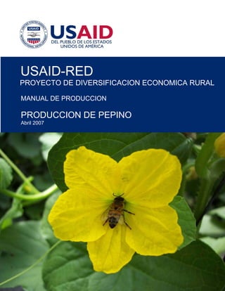 USAID-RED 
PROYECTO DE DIVERSIFICACION ECONOMICA RURAL 
MANUAL DE PRODUCCION 
PRODUCCION DE PEPINO 
Abril 2007 
 