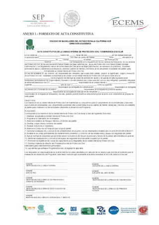 ANEXO 1.- FORMATO DE ACTA CONSTITUTIVA
 