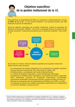 Objetivos específicos
de la gestión institucional de la I.E.
Para garantizar la sostenibilidad del PEAe, es necesaria su institucionalización, porque
el PEAe es de la I.E., no del Comité Ambiental ni del personal docente que está
liderando el proceso de elaboración.
Sobre los objetivos específicos de la gestión institucional, veamos la propuesta del
Ministerio de Educación: MINEDU, Guía para la Estrategia Nacional de Aplicación del
Enfoque Ambiental, “Instituciones educativas para el desarrollo sostenible”. Lima, 2006,
p. 18.
De acuerdo a lo anterior, entre los objetivos específicos de la gestión institucional
deben incluirse varias acciones:
La incorporación del enfoque ambiental en los instrumentos de gestión educativa:
Proyecto Educativo Institucional, PEI y Plan Anual de Trabajo, PAT.
El fortalecimiento y consolidación del Comité Ambiental Escolar.
La creación de brigadas ambientales o clubes estudiantiles ambientales.
Las alianzas con posibles socios estratégicos, como gobiernos locales y regionales,
ONG, fundaciones, proyectos de cooperación internacional, universidades,
asociaciones ambientales, asociaciones juveniles, empresa privada (ver Anexo 4).
Alianzas de cooperación para la implementación del PEAe con la DRE y la UGEL.
La búsqueda de solución de conflictos ambientales (identificados en el diagnóstico)
en el entorno (familias y vecinos) de la I.E.
-43-
Como el objetivo general es un cambio global en la situación ambiental de la I.E., también es necesario
formular, con una visión holística, objetivos con un propósito particular, con mayor expresión cualitativa; es
decir, objetivos específicos, con resultados y beneficios cuantificables, formulados para cada uno de los
niveles de gestión: institucional y pedagógica.
13
13
Gestión
Institucional
Instituciones
socio-
ambientales
básicas
Manejo de
conflictos
Plan Anual
de Trabajo
PAT
Proyecto
Educativo
Institucional
PEI
Instituciones
estudiantiles
básicas
 