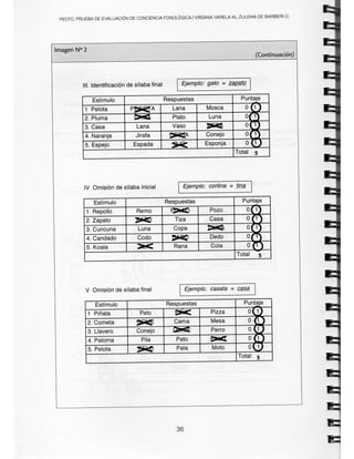 Pecfas Form.pdf Manual PECFO.pdf