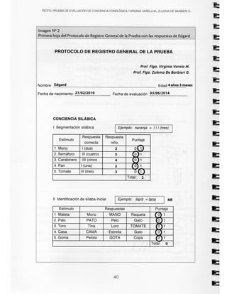 Pecfas Form.pdf Manual PECFO.pdf