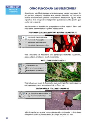 20
PHOTOSHOP
Práctica 3:
Selecciones
CÓMO FUNCIONAN LAS SELECCIONES
Recordemos que Photoshop es un programa que trabaja con mapas de
bits, es decir imágenes parecidas a un mosaico formadas por pequeños
puntos de información (pixeles). Si queremos trabajar con alguna parte
específica de la imagen tenemos primero que seleccionar los pixeles que
conforman esa zona.
Hay herramientas de selección que podemos utilizar según la forma o el
color de los elementos que vayamos a seleccionar:
Para selecciones en fotografías que contengan elementos cuadrados,
rectangulares, circulares o con forma elíptica.
MARCO RECTANGULAR/ELÍPTICO : FORMAS GEOMÉTRICAS
Seleccionan las zonas que tienen pixeles del mismo color o de colores
semejantes: como el piso de la foto, el cuerpo del pijije o la hoja.
Para seleccionar zonas de fotografías que contengan formas irregulares,
como personas, rocas, animales, árboles o flores, etc.
LAZOS : FORMAS IRREGULARES
VARITA MÁGICA : COLORES SEMEJANTES
 
