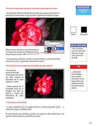 35
PHOTOSHOP
Práctica 5:
Máscaras
9 Pinta con negro para descubrir, con blanco para tapar de nuevo
. Ve pintando sobre los elementos de color que quieras descubrir. Yo
descubriré únicamente el rojo de la flor, dejando el fondo en negro.
Observa que conforme vayas pintando en
la imagen, los cambios se reflejarán en la
máscara que creaste.
. Si te equivocas al pintar, cambia tu pincel a blanco y ve borrando los
errores (es como ir poniendo máscara de nuevo).
10 Cuando termines, regresa la opacidad a la capa superior
.Una vez que
hayas terminado
de descubrir las zonas
de color, regresa la
opacidad de la capa
superior a 100%.
. Ahora podrás ver el
resultado final de tu
trabajo: una foto en
blanco y negro con
elementos de color
resaltado.
11 Guarda tu archivo final
. Si estás satisfecho con tu imagen final, ve a Archivo/Guardar como… y
selecciona .jpg en calidad media.
Te recomiendo que también guardes una copia en alta calidad por si la
quieres imprimir para tu colección personal.
TIP
• ¡Acércate!
Para trabajar
más a gusto,
haz zoom con la
lupa, hasta que
realmente veas
los elementos a
pintar.
EN EL TECLADO
• Para cambiar
entre los pinceles
blanco y negro,
solo oprime la
tecla X.
Cubrir Descubrir
 