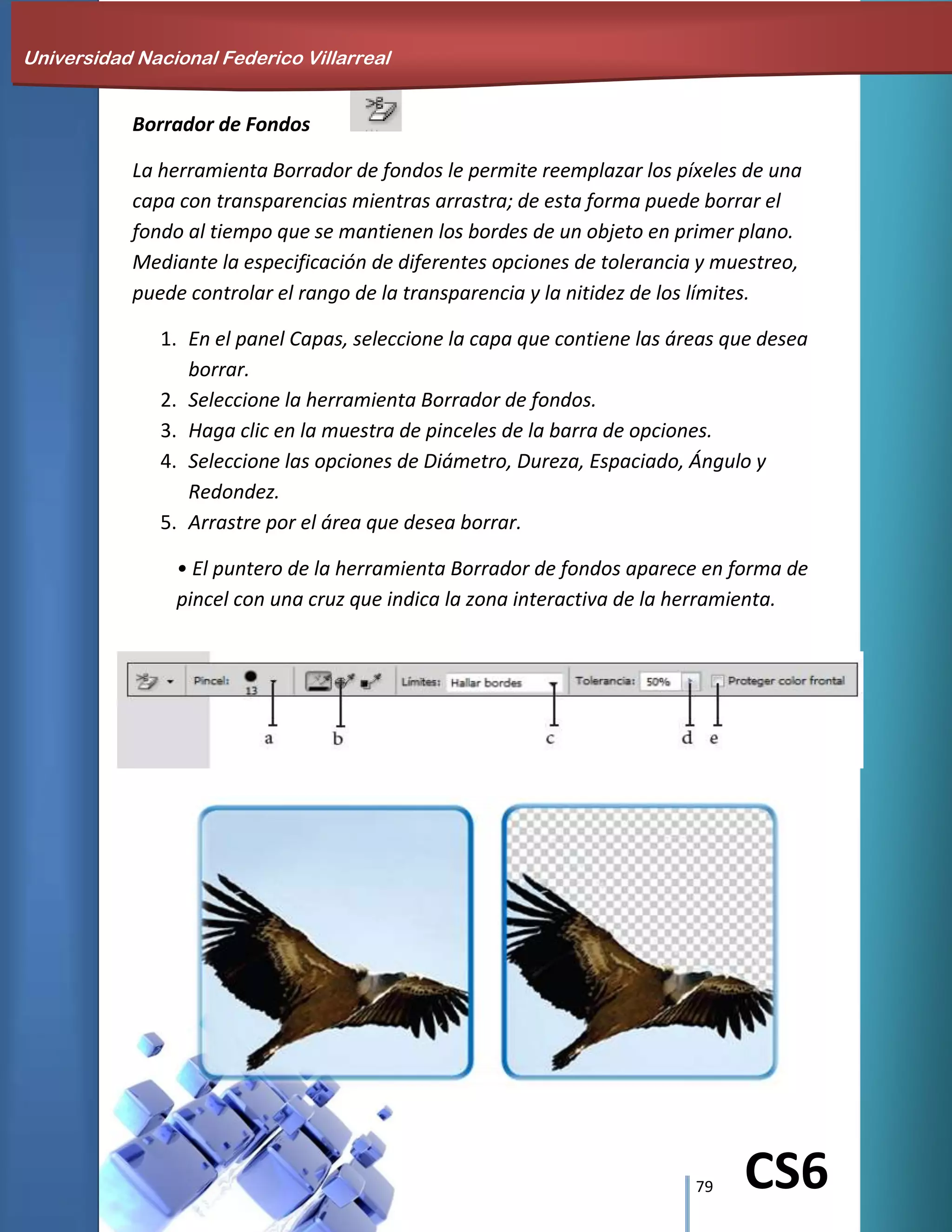 79 CS6
Borrador de Fondos
La herramienta Borrador de fondos le permite reemplazar los píxeles de una
capa con transparencias mientras arrastra; de esta forma puede borrar el
fondo al tiempo que se mantienen los bordes de un objeto en primer plano.
Mediante la especificación de diferentes opciones de tolerancia y muestreo,
puede controlar el rango de la transparencia y la nitidez de los límites.
1. En el panel Capas, seleccione la capa que contiene las áreas que desea
borrar.
2. Seleccione la herramienta Borrador de fondos.
3. Haga clic en la muestra de pinceles de la barra de opciones.
4. Seleccione las opciones de Diámetro, Dureza, Espaciado, Ángulo y
Redondez.
5. Arrastre por el área que desea borrar.
• El puntero de la herramienta Borrador de fondos aparece en forma de
pincel con una cruz que indica la zona interactiva de la herramienta.
Universidad Nacional Federico Villarreal
 